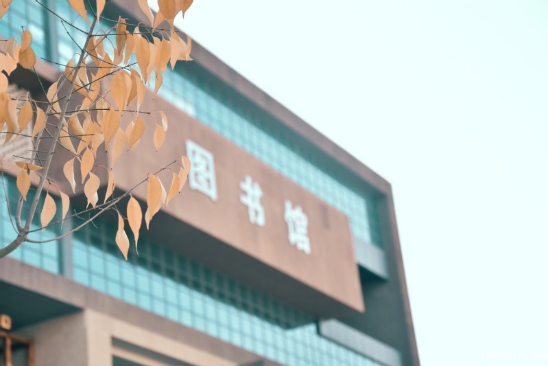 落叶知秋 ,微风徐来, 所有美...
